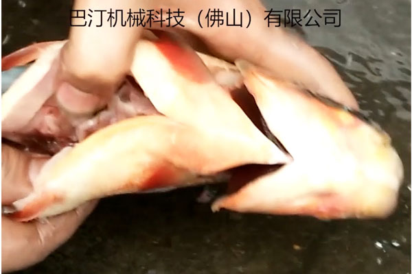 殺魚機(jī)的優(yōu)點(diǎn)有哪些?巴汀機(jī)械小編為您細(xì)數(shù)